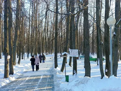 Село Ундоры и его сокровища. Большое Поволжское путешествие, или новые  приключения Дикого городского жителя. | Дорога длиною в жизнь