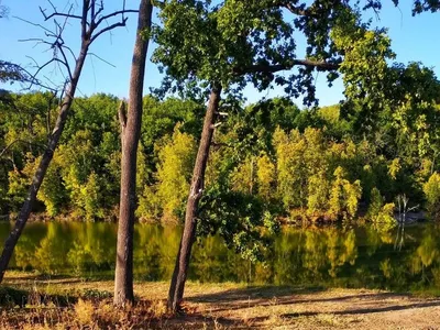 File:Обрыв на раскопках динозавров. Городище. Ундоры. Ульяновская обл.  Ноябрь 2013 - panoramio.jpg - Wikimedia Commons