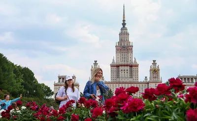 МГУ вошел в топ-25 лучших вузов мира по качеству образования