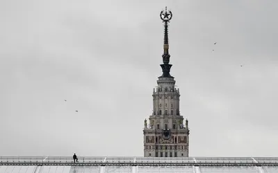 МГУ в нерабочий понедельник проведет экзамены дистанционно — РБК