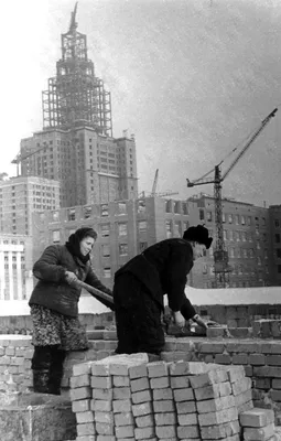 МГУ Московский Государственный Университет имени М.В. Ломоносова — Наталья  Королева на TenChat.ru