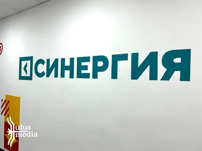 Встреча выпускных групп, с представителями университета Синергия, ГБПОУ ФК  № 35, Москва