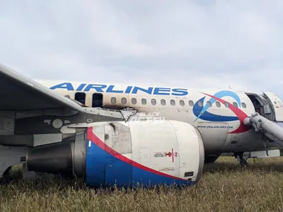 Эксперт: Ту-154 в Сочи упал из-за \"лётного хулиганства\"