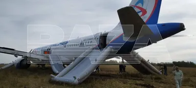 Катастрофа Ту-154: следствие сосредоточилось на двух версиях причин  трагедии - EAOMedia.ru