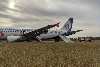 Самолет Сочи — Омск экстренно сел в Новосибирской области - 12 сентября  2023 - V1.ру