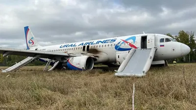 Произошло крушение самолета министерства обороны Ту-154 в Сочи -  Знаменательное событие