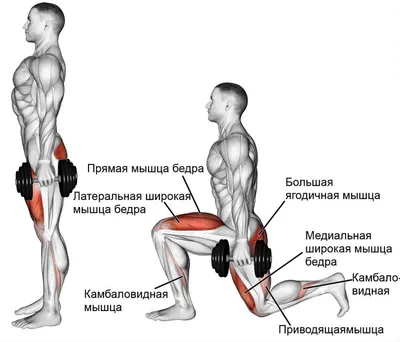 Накачать попу дома: лучшие упражнения и дельные советы