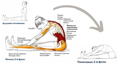 Упражнения для мышц спины - блог магазин спортивного питания 5LB.UA