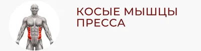 Сама Сила Спортивный Парень, Выполнить Упражнения Пресса С Гантелями,  Тренировки В Спортивном Зале Фотография, картинки, изображения и  сток-фотография без роялти. Image 51672851