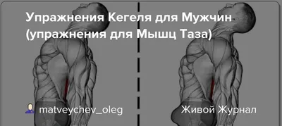 Упражнения Кегеля: для чего помогают и как правильно выполнять