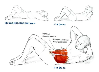 Как правильно качать пресс дома? Укрепление мышц живота, рекомендации от DDX