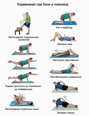 Упражнения для поясничного отдела позвоночника