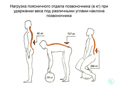 Упражнения при грыже поясничного отдела позвоночника, лечебная гимнастика  лфк при межпозвоночной грыже | Клиника Temed