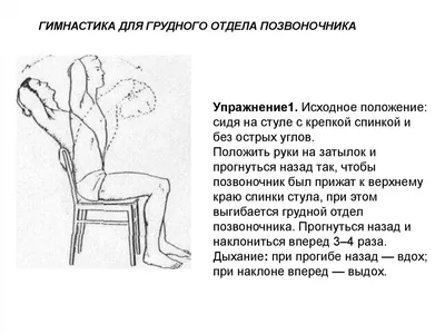 Упражнения при остеохондрозе, которые помогут снять боль и вернуть  подвижность - Лайфхакер