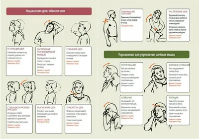 Упражнения ЛФК при шейном остеохондрозе | Упражнения для шеи, Гимнастика,  Йога для начинающих