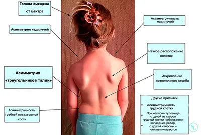 Советы | Упражнения, Ежедневные тренировки, Йога