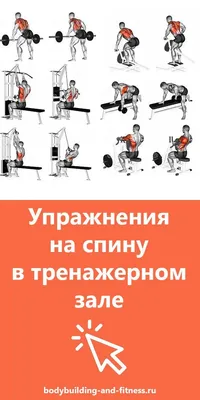 Упражнения на спину в тренажерном зале для мужчин | Тренировка спины,  Упражнения, Тренировки