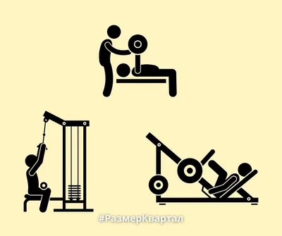 Тренировки для подростков в тренажерном зале - Фитнес клуб FITNESS 24