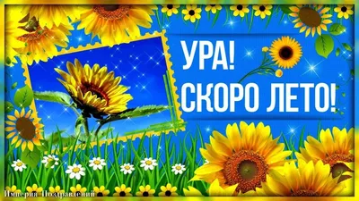 Ура, лето! (Галина Титова -Дмитриева) / Стихи.ру