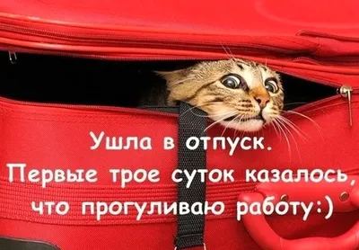 📅С 23 СЕНТЯБРЯ ПО 2 ОКТЯБРЯ, Я В ОТПУСКЕ. 🚆УРА! УРА! УРА! Я еду в отпуск...  | ВКонтакте