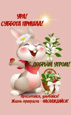 Ура! Суббота пришла ! | Открытки, Субботы, Смешные открытки