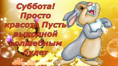 Картинки дни недели суббота с добрым утром прикольные | Субботы, Смешные  высказывания, Надписи