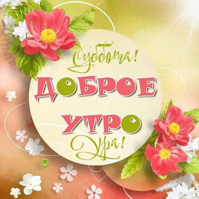 Доброе утро Суббота прикольные (Новые 38 фото) картинки смешные для  поднятия настроения - АуФФ