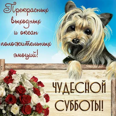 Категория Суббота с 76+ коллекций фотографий