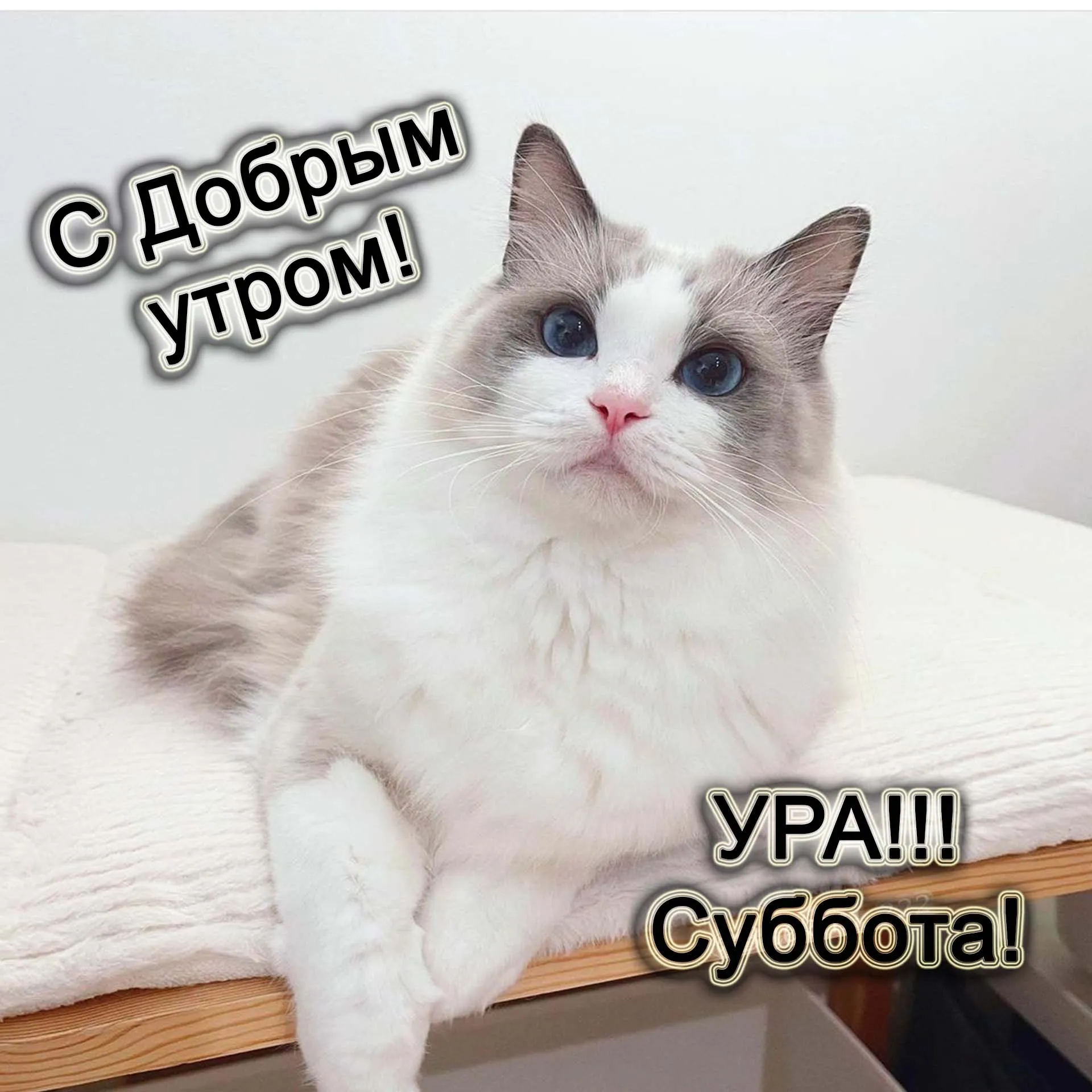 Открытки суббота суббота ура выходные хороших выходных с днем... Открытки суббота суббота ура выходные хороших выходных с днем...
