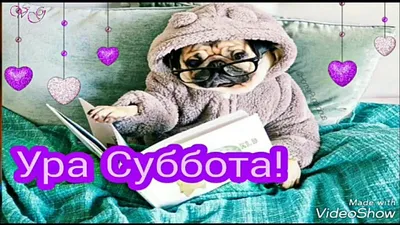 Ура! Суббота! Поздравляем! - Лента новостей Запорожья