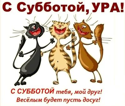 Ура, суббота! | Пикабу