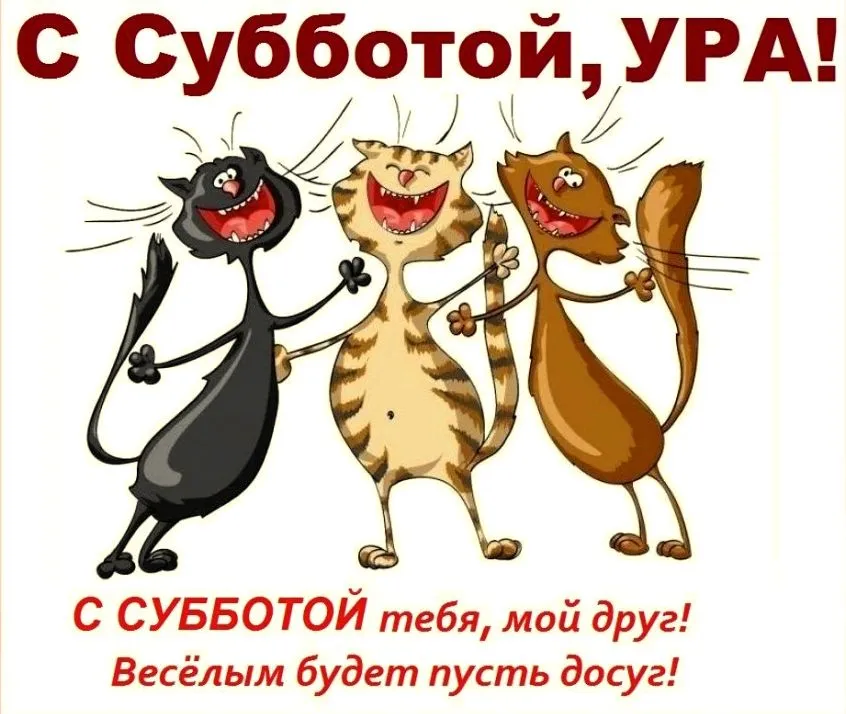 Ура, суббота! | Пикабу Ура, суббота! | Пикабу