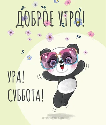 Суббота, заказы и ...Ура!Я добралась до цифры,,100,, ,спасибо вам🤗... |  Лариса Васильева@,,Lissa,, , истории из жизни ИПэшника . | Дзен