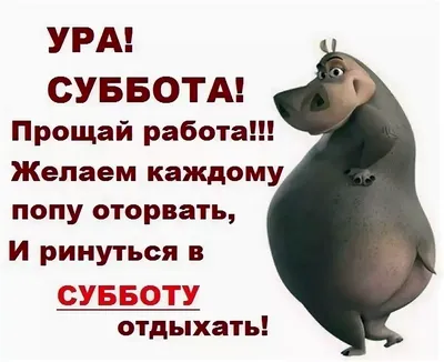 Суббота, есть суббота. | ирина никурова, для души, без суеты | Дзен