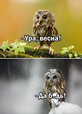 Татьяна Осипова - #ура #весна #солнце🌞 | Facebook