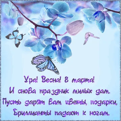 С первым днем весны — яркие открытки и картинки, чтобы поздравить близких -  Телеграф