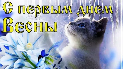 С последним днем зимы! Ура!!! Уже завтра весна!🤩 - YouTube