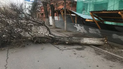 Ураган и торнадо высотой в 1 километр сорвали крышу со школы в Самарской  области | 03.06.2023 | Самара - БезФормата