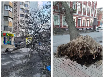 Синоптики рассказали, дойдет ли ураган из Курской области в Москву – Москва  24, 19.09.2022