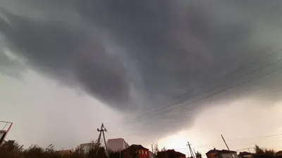 Киев ураган - в столице падают деревья из-за сильного ветра, один человек  погиб от травм » Слово и Дело