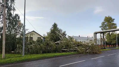 Мощный ураган в Сибири 19 ноября 2023: последствия, пострадавшие, фото и  видео - KP.RU