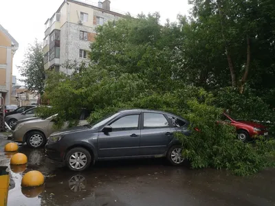 Ураган в Саратовской области. Более 12 тысяч домов остались без  электричества | Новости Саратова и области — Информационное агентство  \"Взгляд-инфо\"