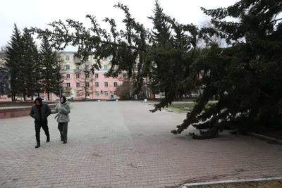 Мощный ураган обрушился на Барнаул