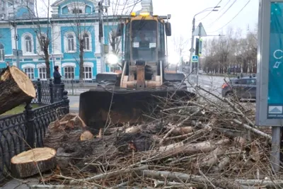 В Барнауле из-за урагана закрыли движение по городским трассам - Российская  газета