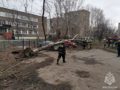 В Сибири из-за урагана погибли три человека и остались без света тысячи  жителей