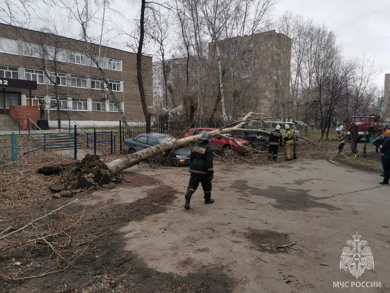 В Сибири из-за урагана погибли три человека и остались без света тысячи жителей В Сибири из-за урагана погибли три человека и остались без света тысячи жителей