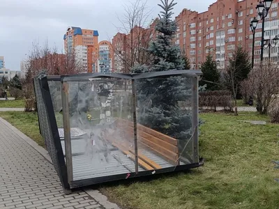 Когда Барнаул восстановят от последствий урагана — ответ мэрии - 15 января  2024 - ngs22.ru