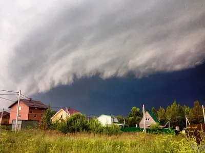 Разрушенные дома и закрытые трассы. Фото последствий жуткого урагана в  Алтайском крае