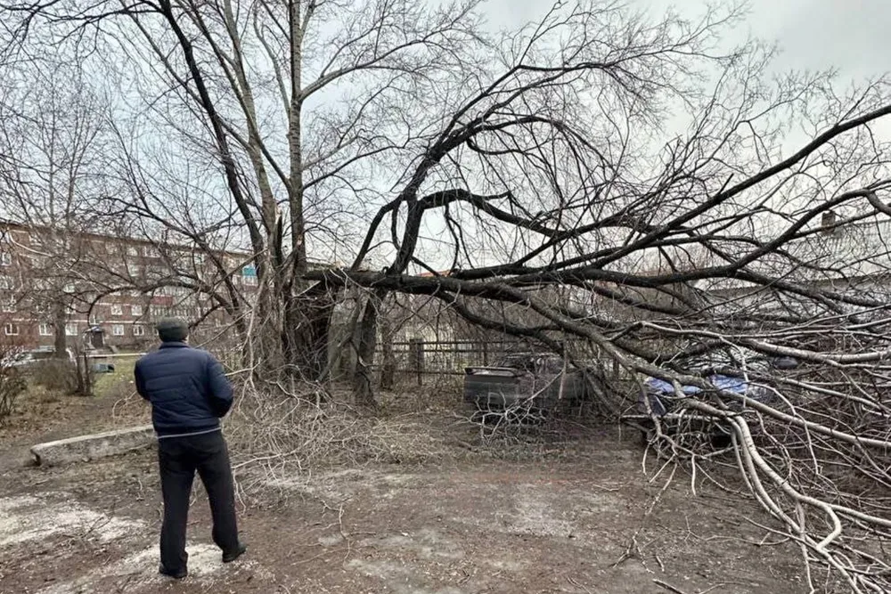 Ураган В Барнауле 19Ноября» — создано в Шедевруме Ураган В Барнауле 19Ноября» — создано в Шедевруме