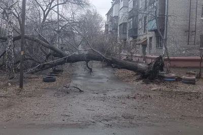 Ураган в Барнауле срывал крыши и рушил стены домов (фото)